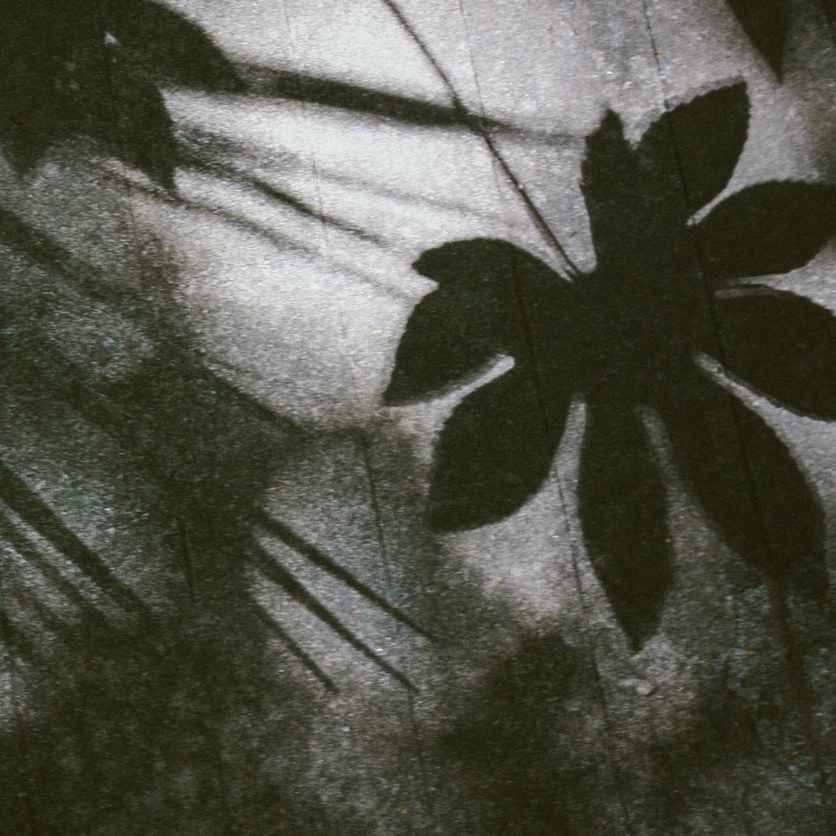 Album cover of FIFTH FINGER