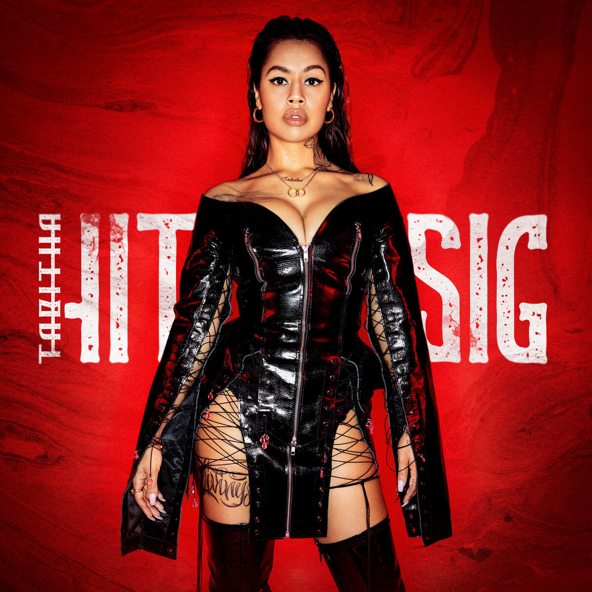 Album cover of HIT-SIG