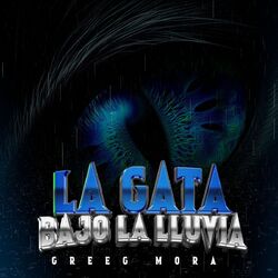 Cover of La Gata Bajo La Lluvia (Cover)