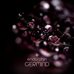 Cover of Endorphin