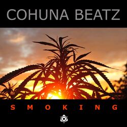 Cover of Smoking