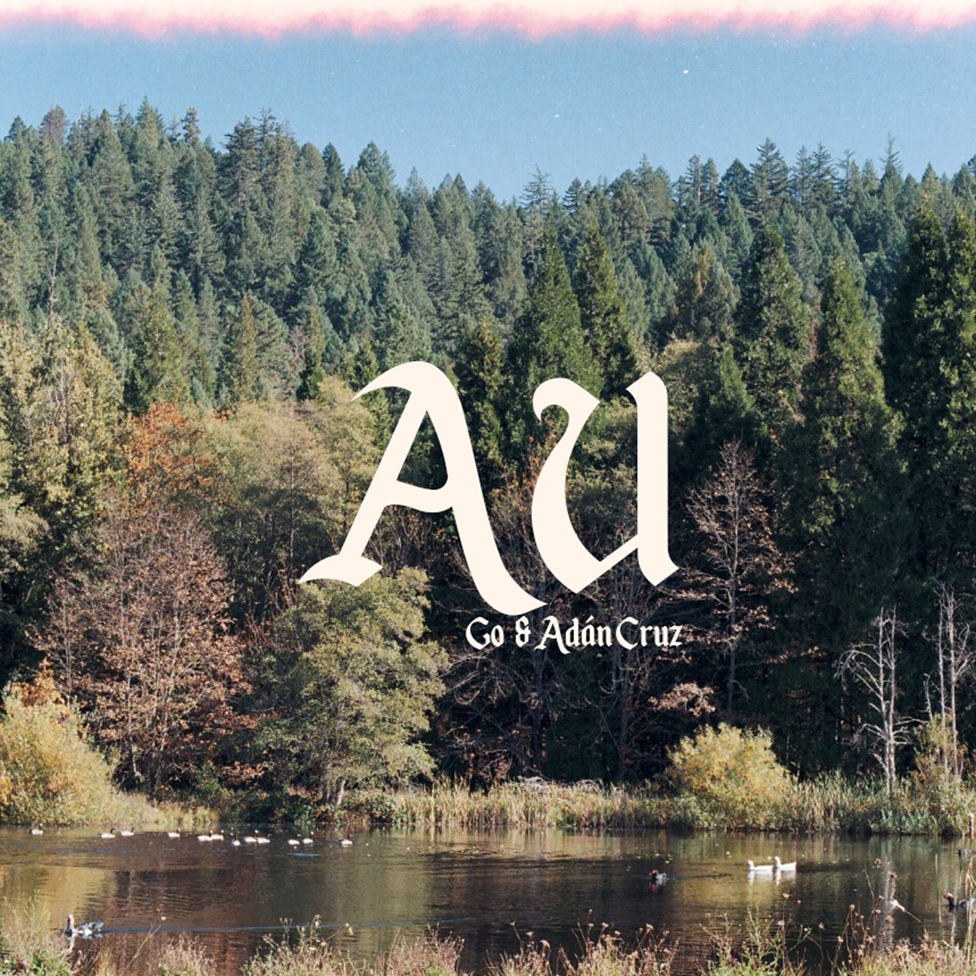 Album cover of AU