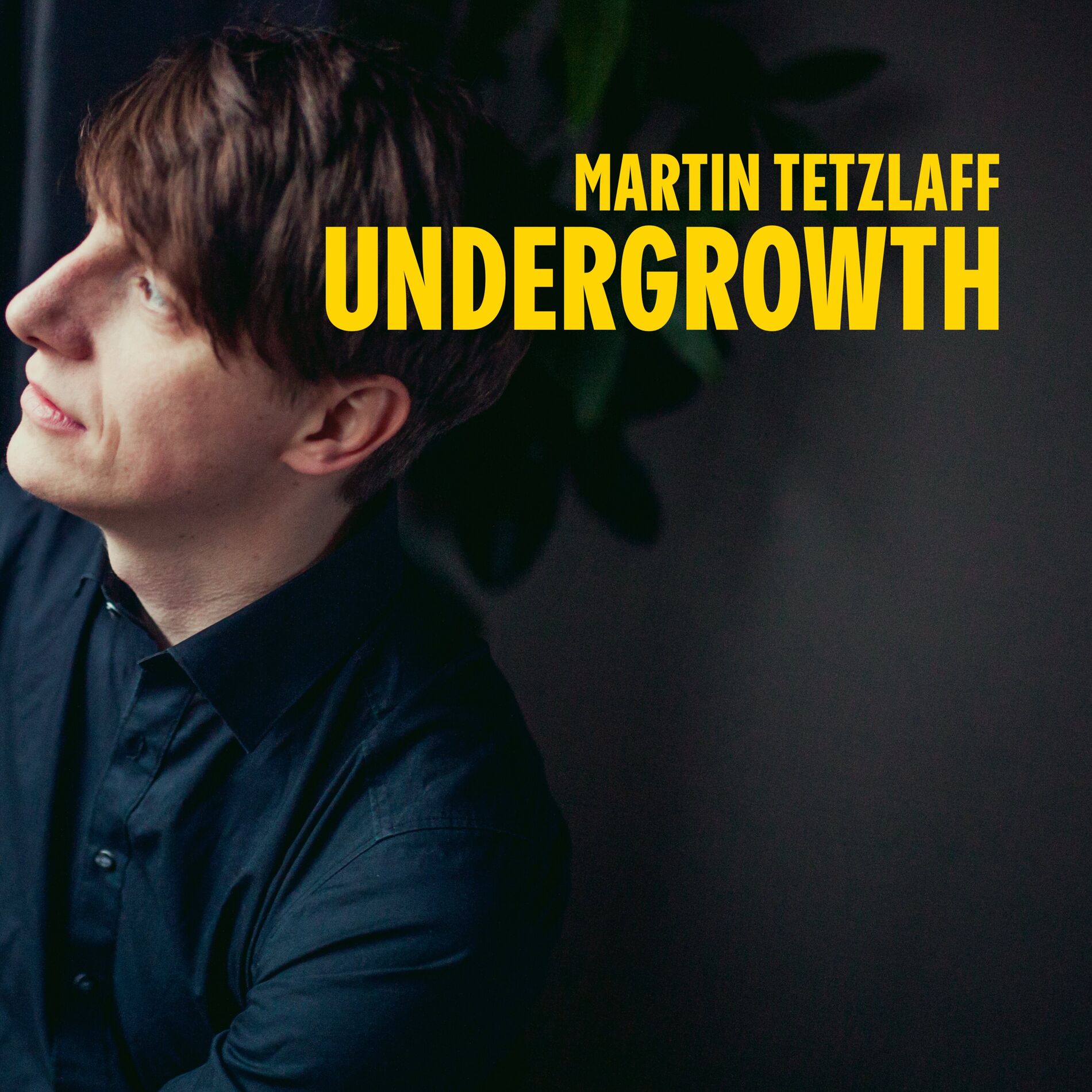 Album cover of Undergrowth