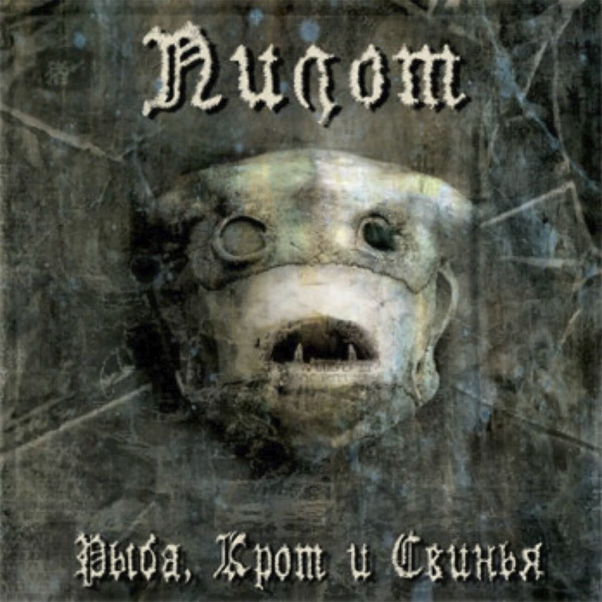 Album cover of Рыба, крот и свинья