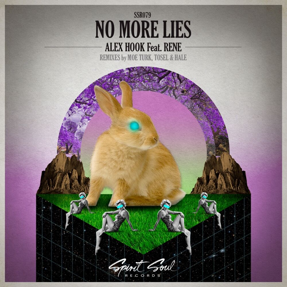 Picture of No More Lies