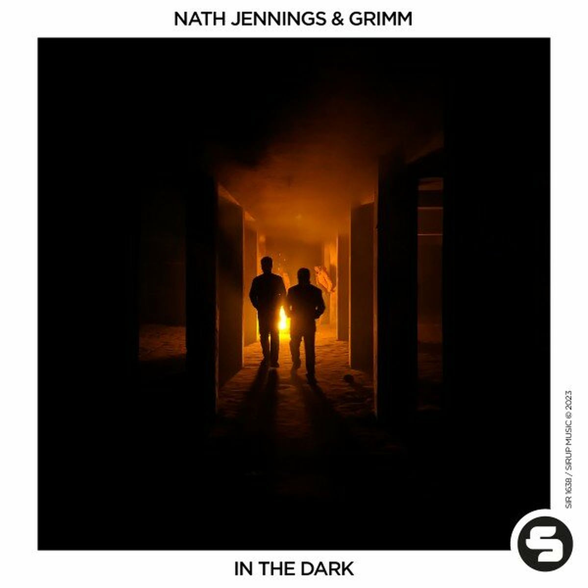 Album cover of In the Dark