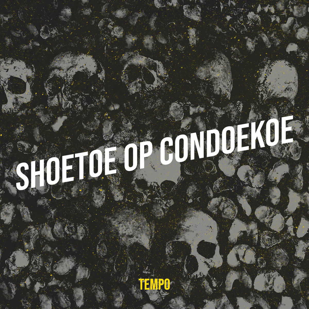 Album cover of Shoetoe Op Condoekoe