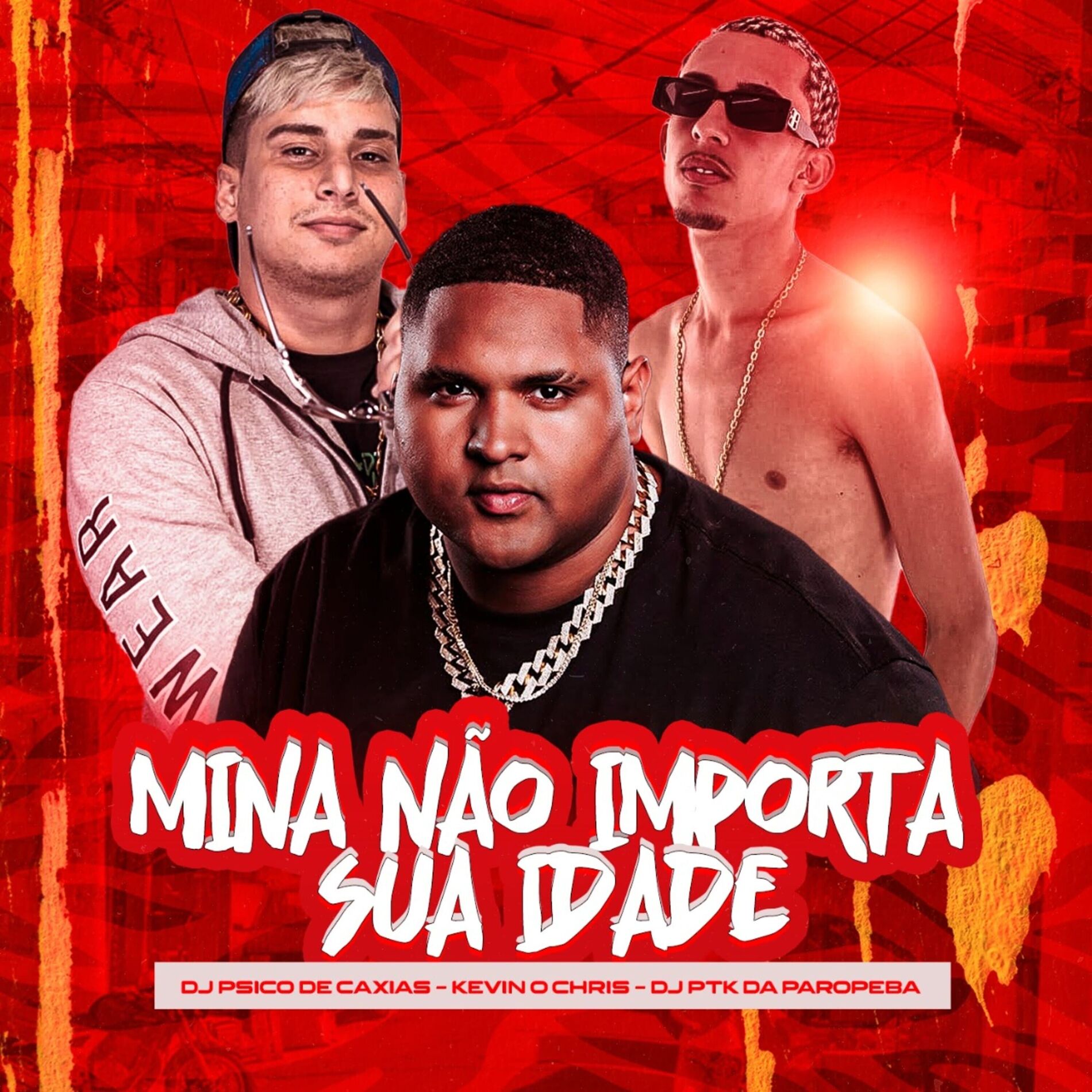 Album cover of Mina Não Importa Sua Idade