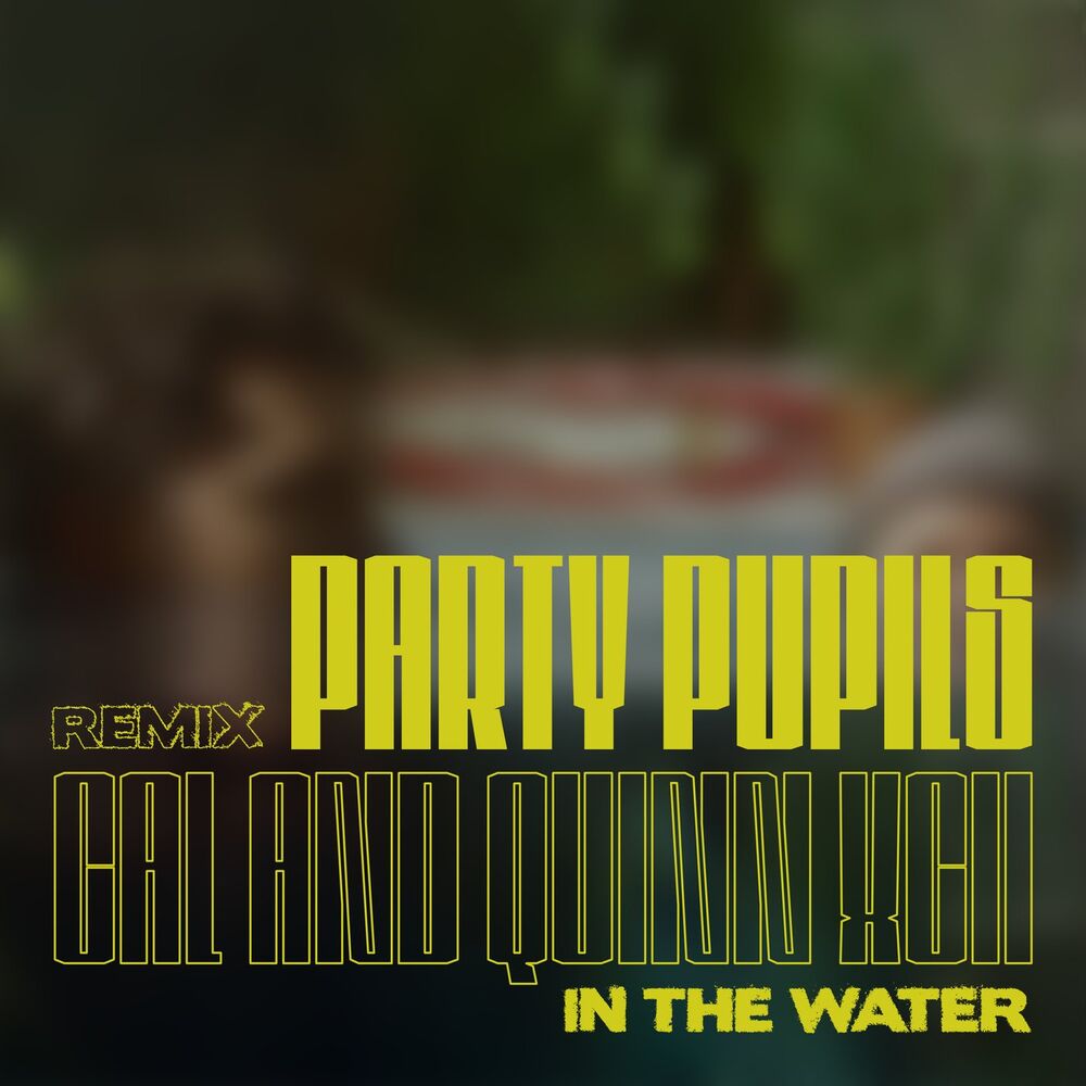 Picture of In the Water (Party Pupils Remix)