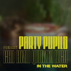 Cover of In the Water (Party Pupils Remix)