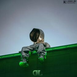 Cover of DANS MA ZONE
