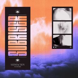 Cover of Satisfaction