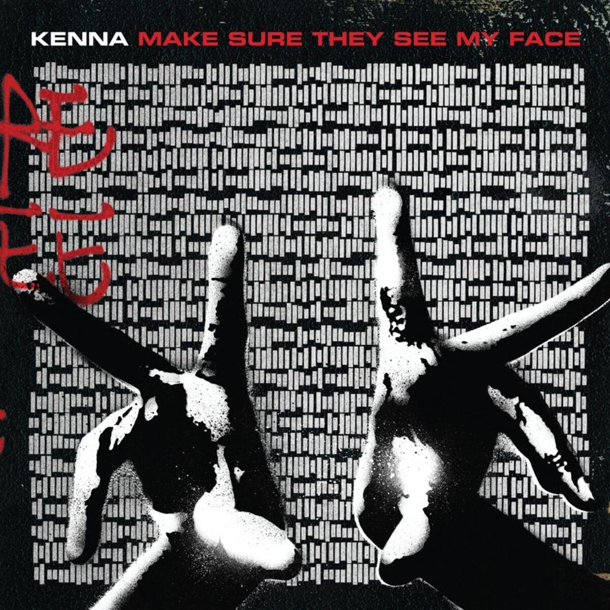 Album cover of Make Sure They See My Face