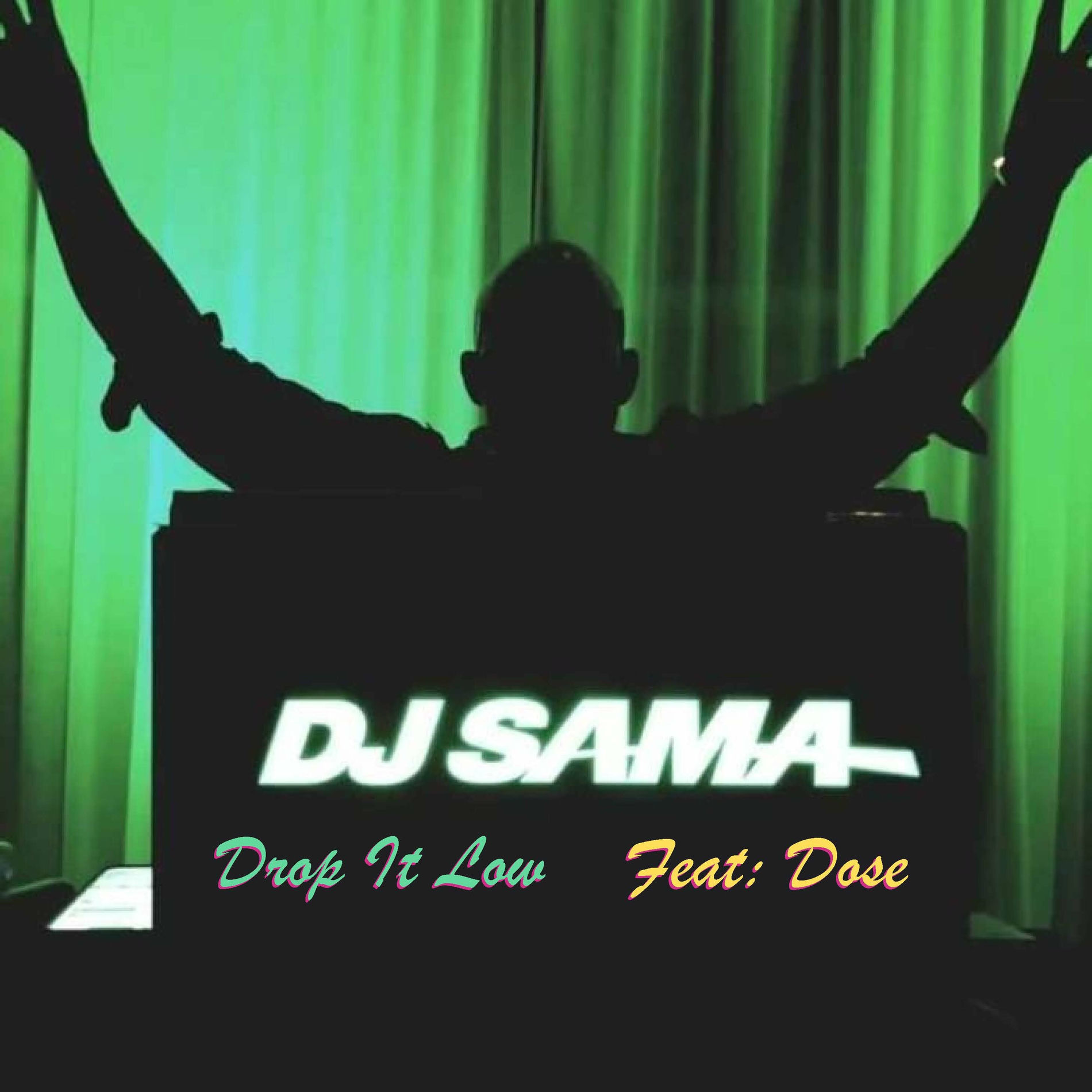 Album cover of Drop It Low