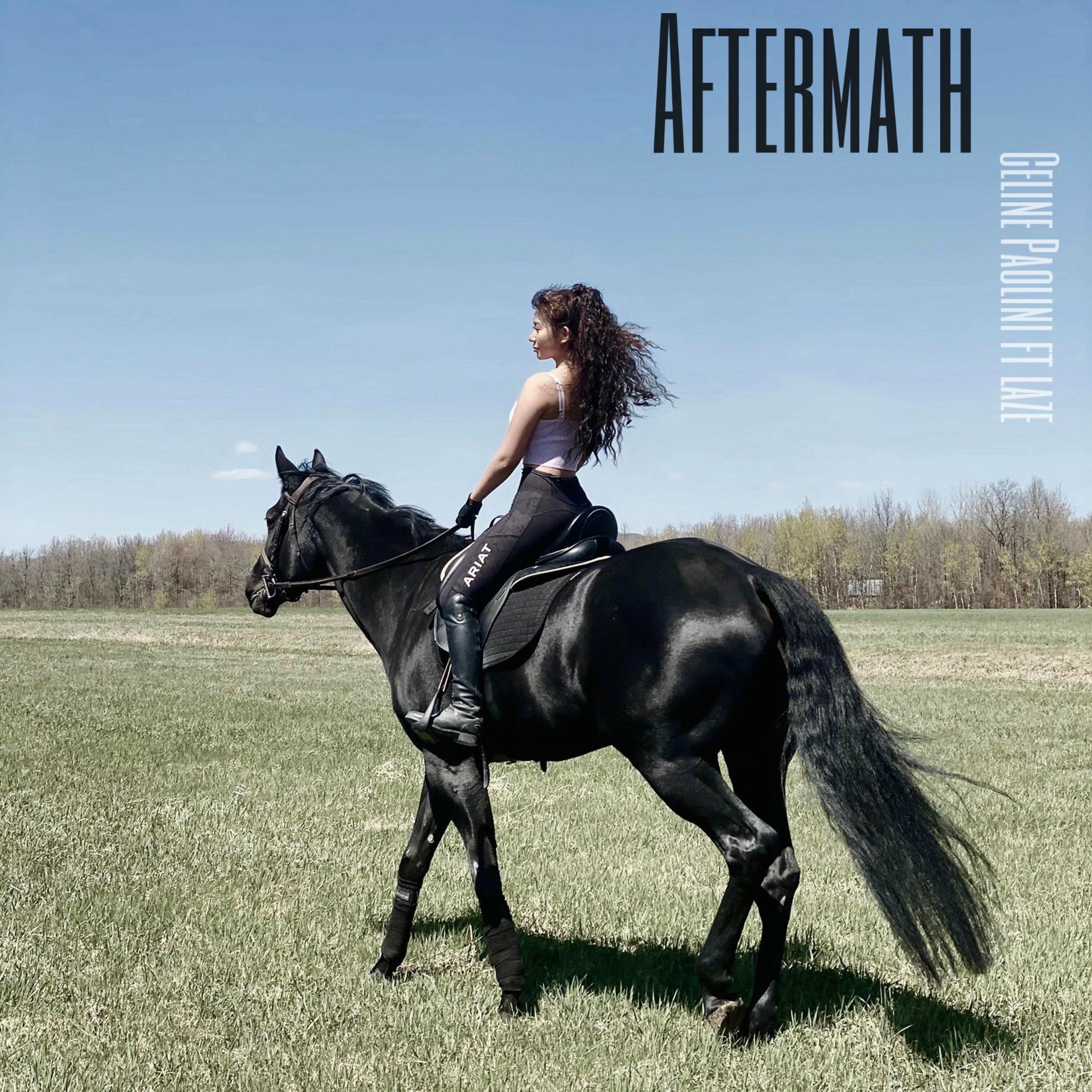 Album cover of Aftermath (feat. laze)