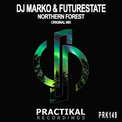 Cover of Northern Forest