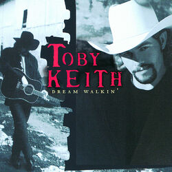 Cover of Dream Walkin'