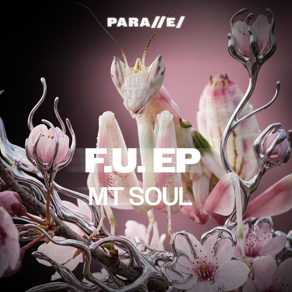 MT SOUL - Bring The Vibe
