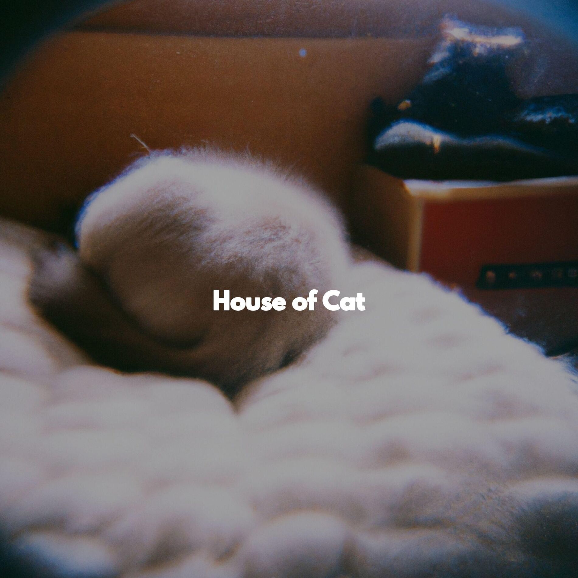 Album cover of Music (Relaxing Routines)