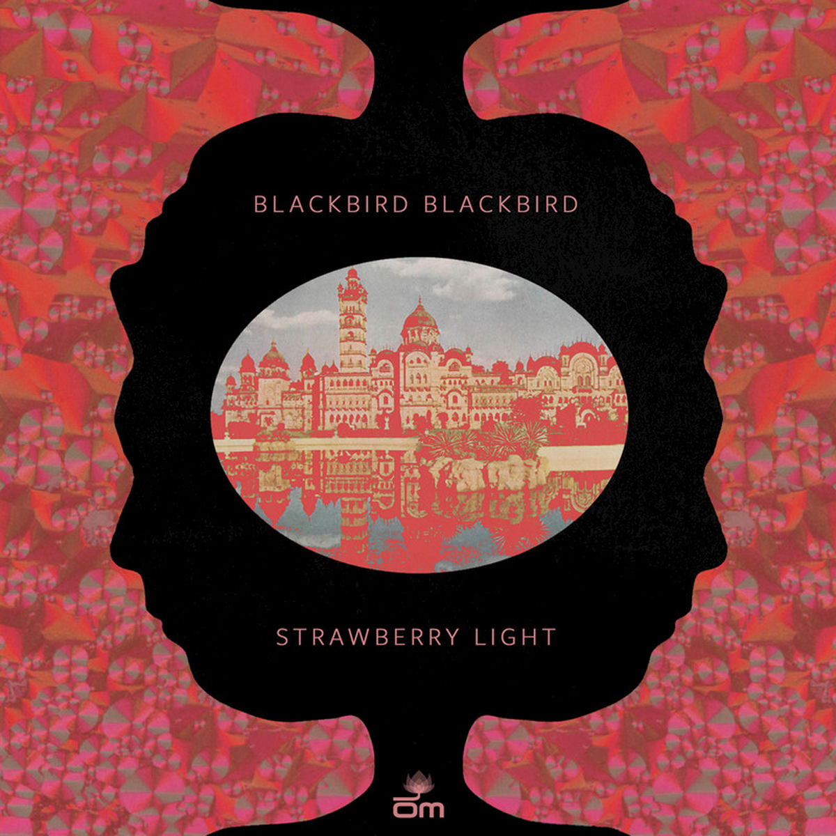 Album cover of Strawberry Light