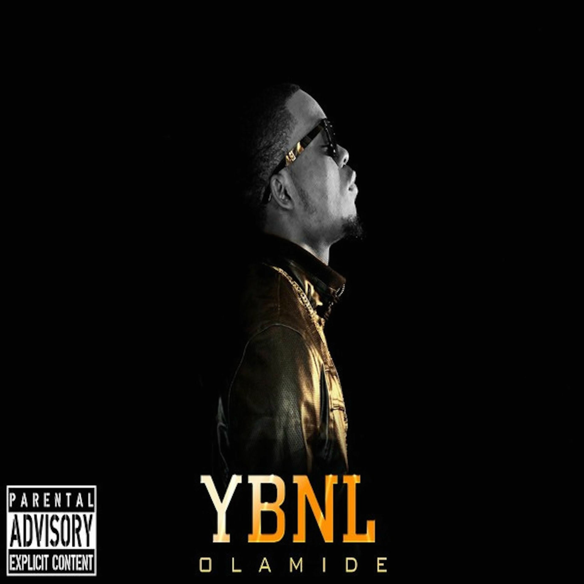 Album cover of YBNL