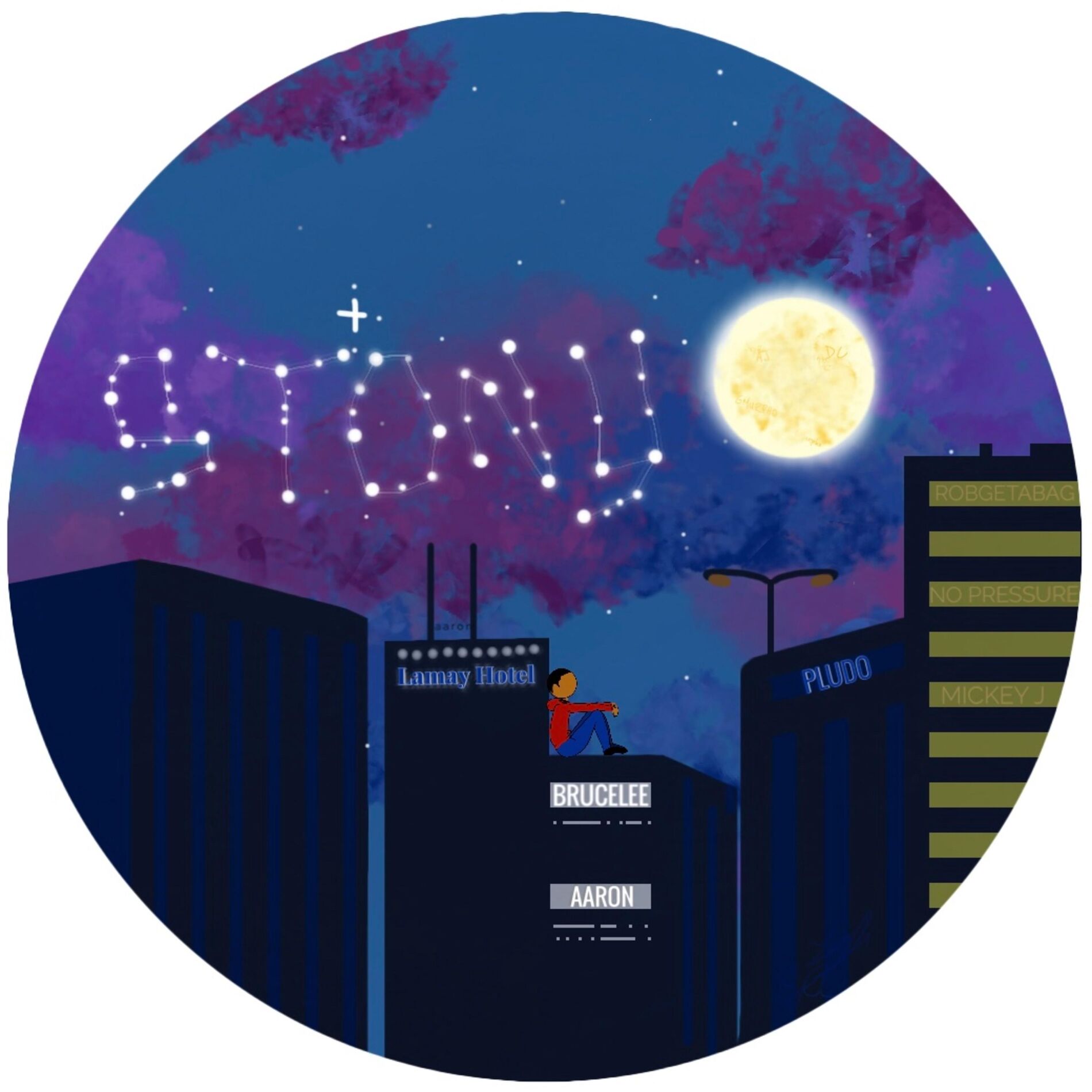 Album cover of Stony