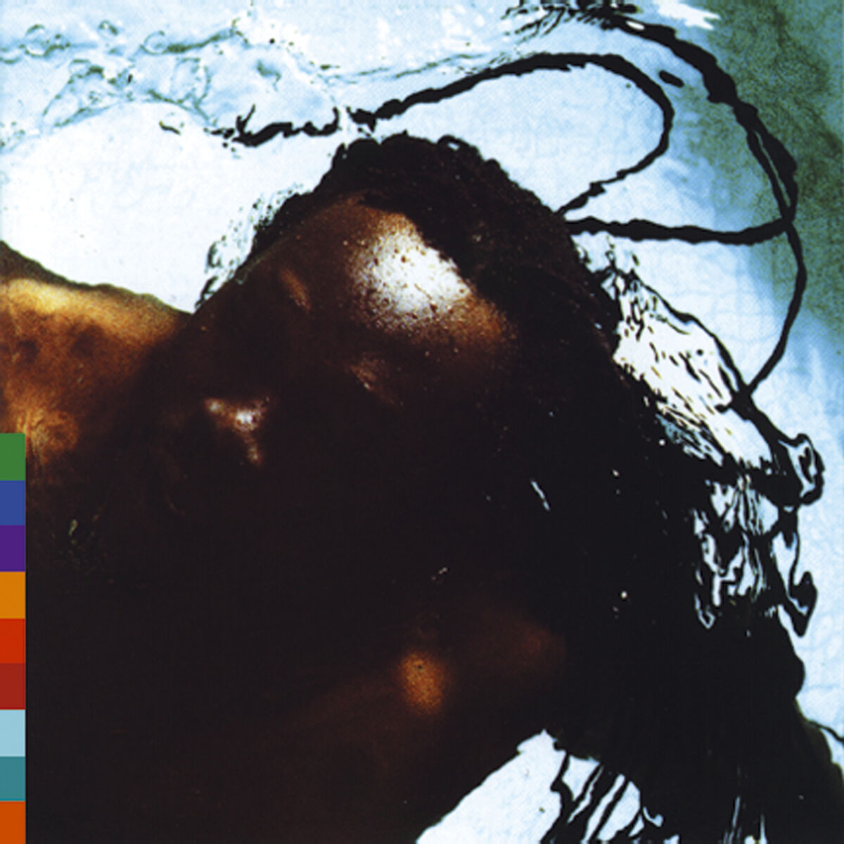 Album cover of Lapwony