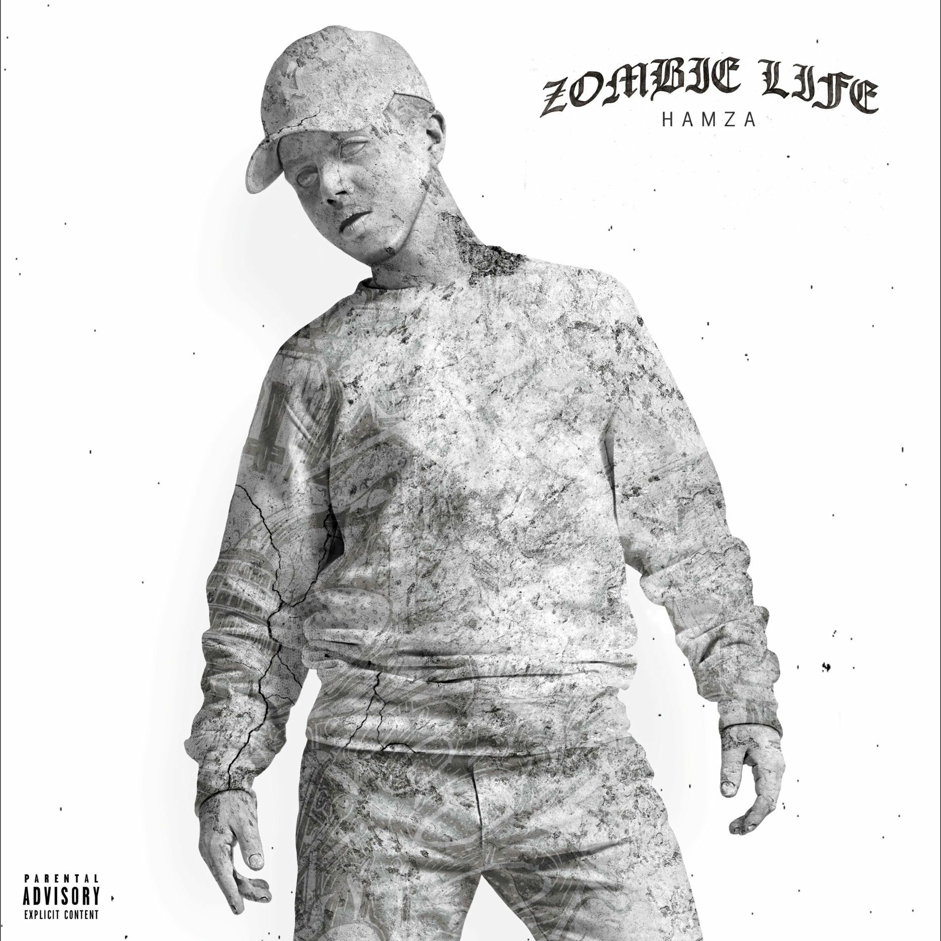 Album cover of Zombie Life