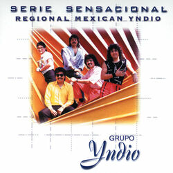 Cover of Serie Sensacional Regional Mexican Yndio