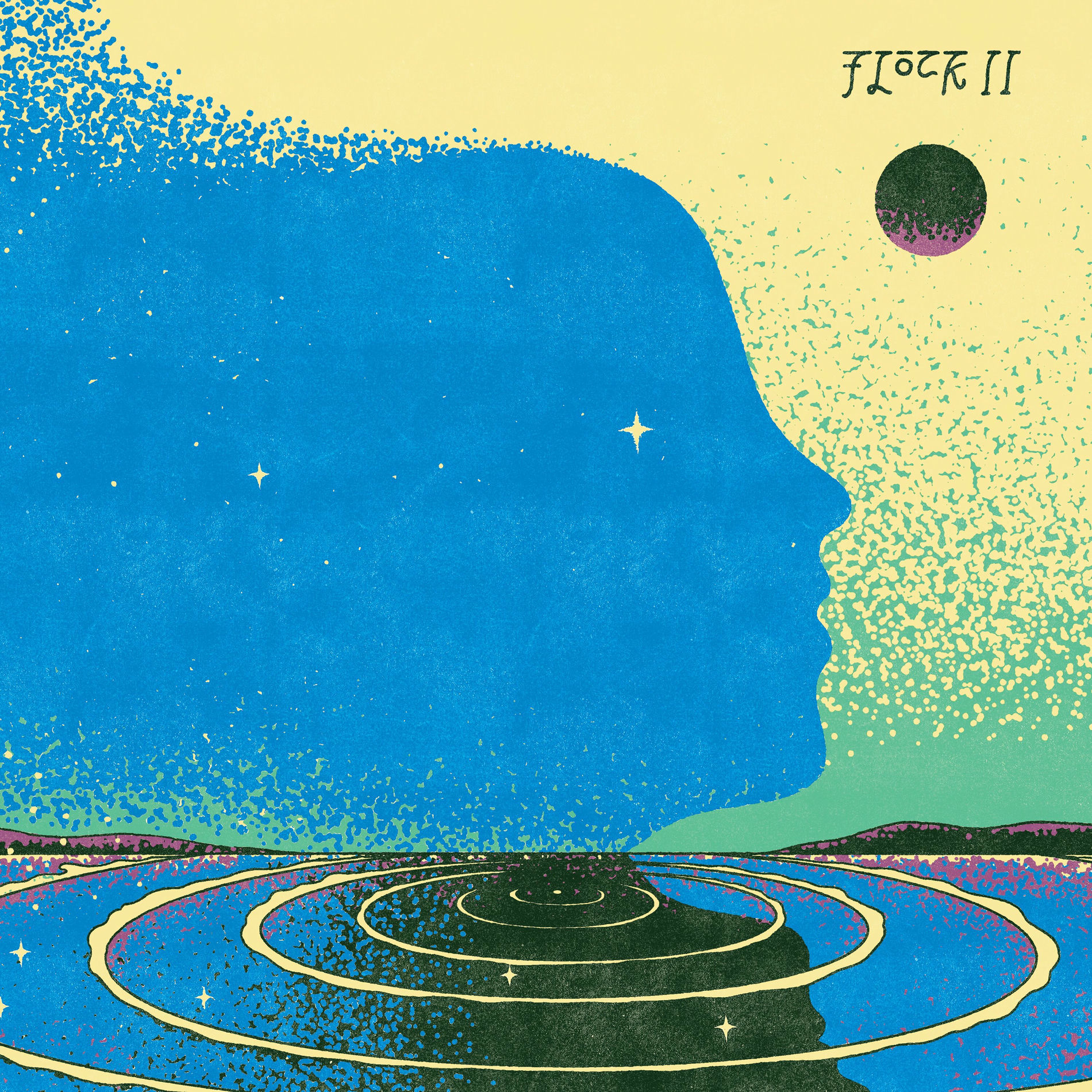 Album cover of Flock II
