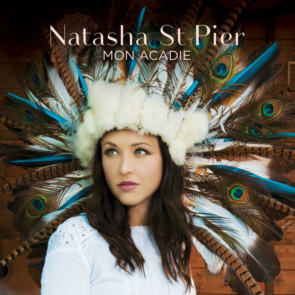 Album cover of Ani couni