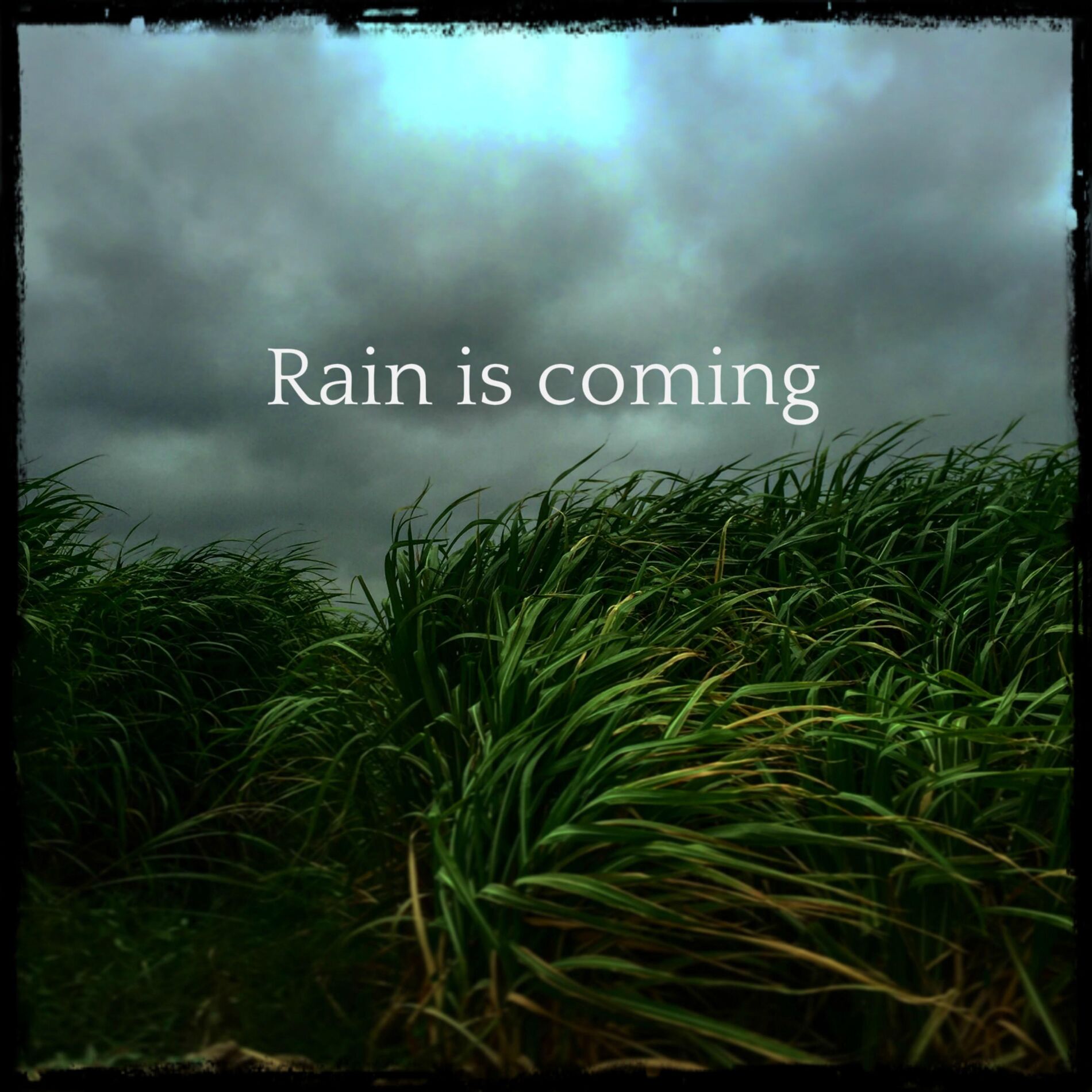 Album cover of Rain Is Coming