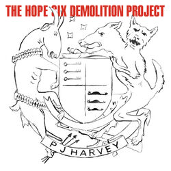 Cover of The Hope Six Demolition Project
