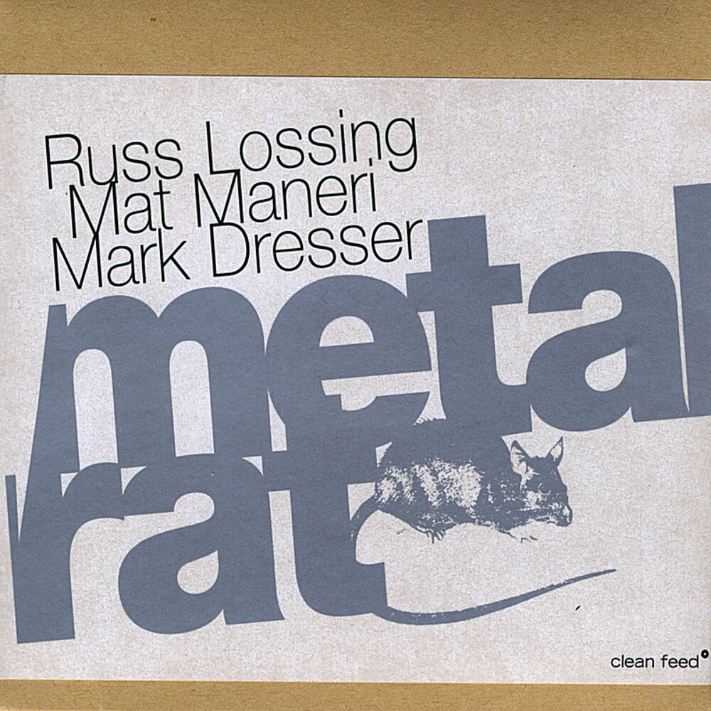 Picture of Metal Rat