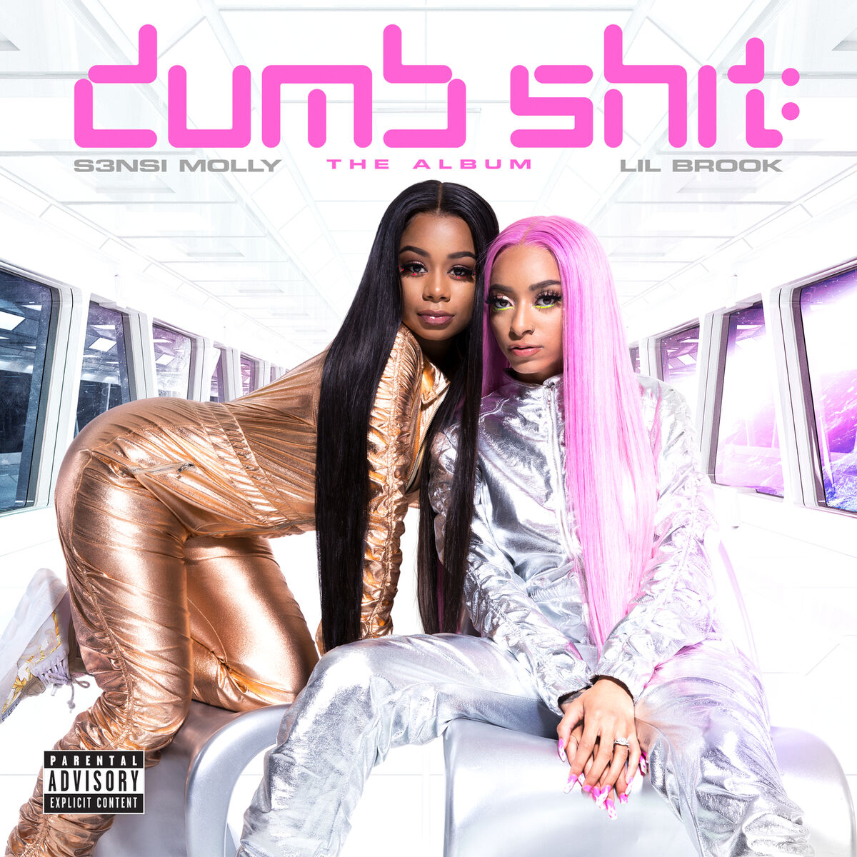 Album cover of Dumb Shit: The Album