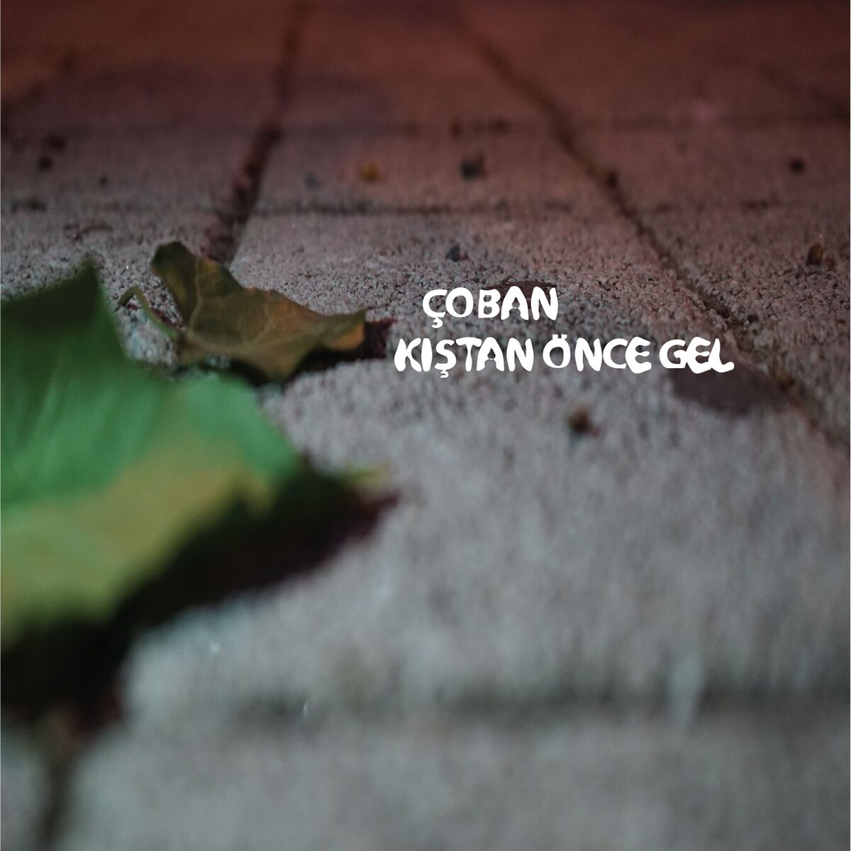 Album cover of Kıştan Önce Gel