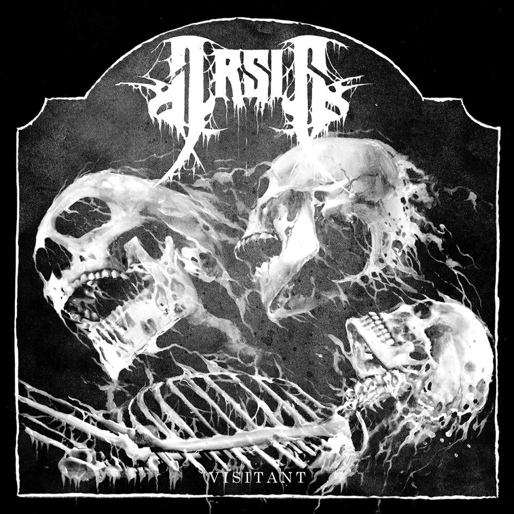 Picture of Visitant
