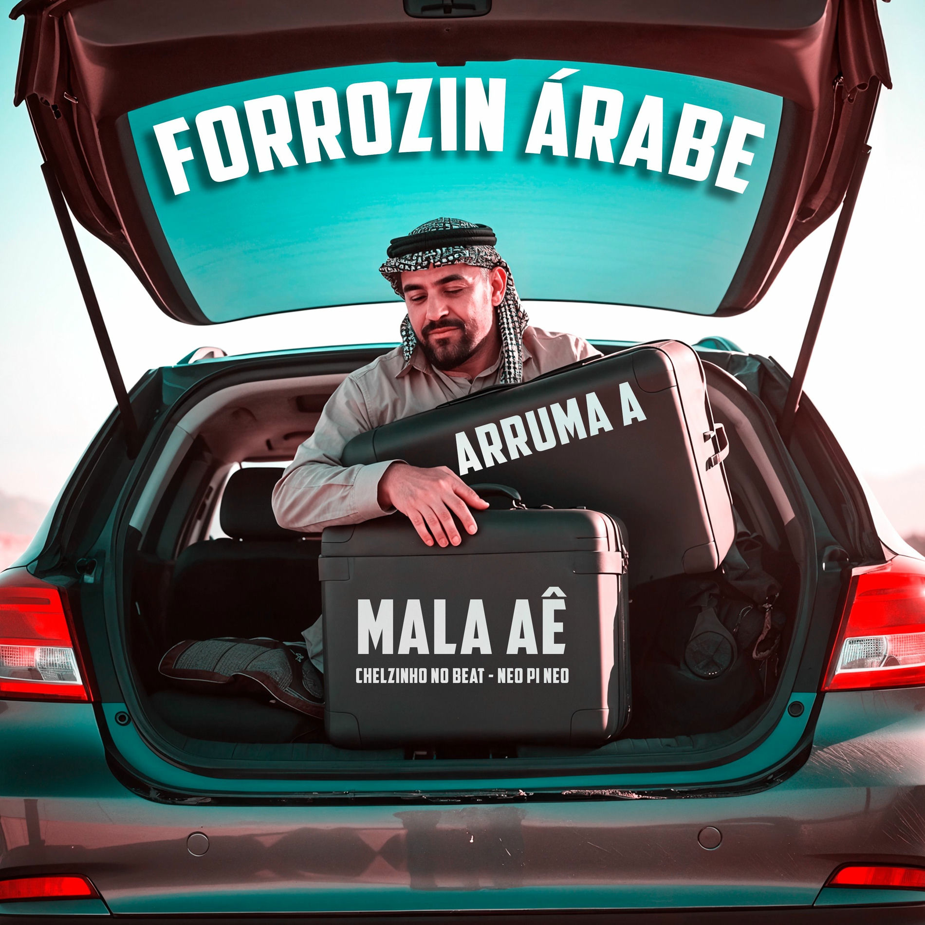 Album cover of Forrozin Árabe Arruma a Mala Aê