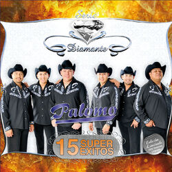 Cover of Serie Diamante- 15 Súper Éxitos