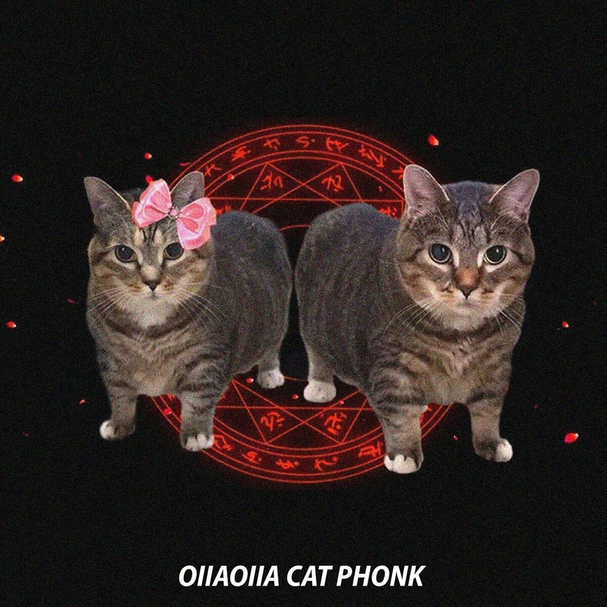 Album cover of OIIAOIIA CAT PHONK
