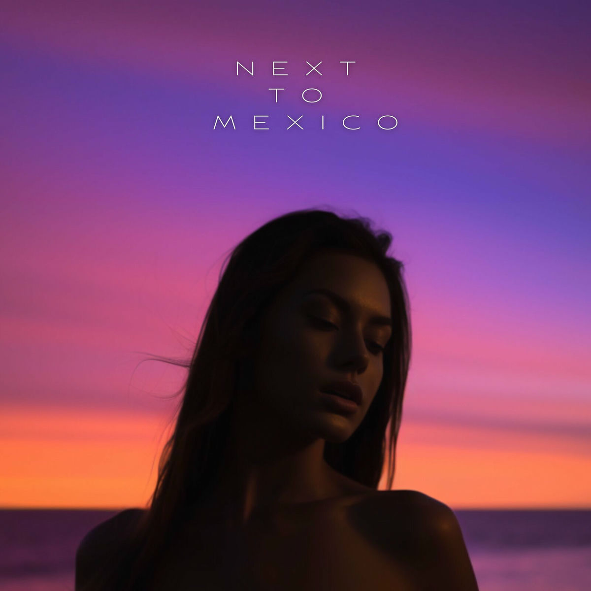 Album cover of Next to Mexico (Dcup Remix)