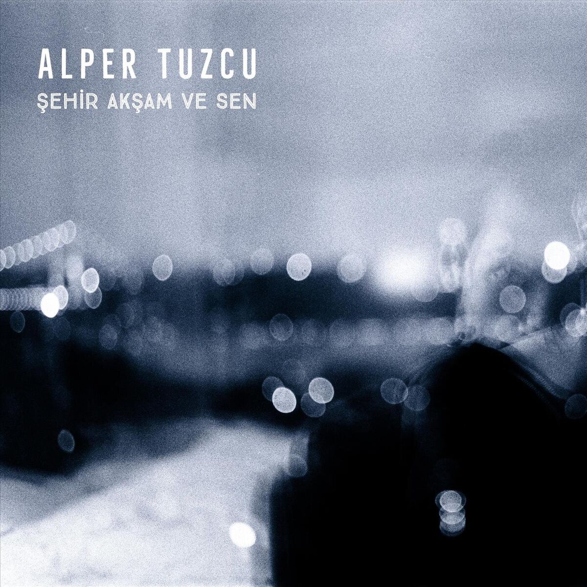 Album cover of Şehir Akşam Ve Sen