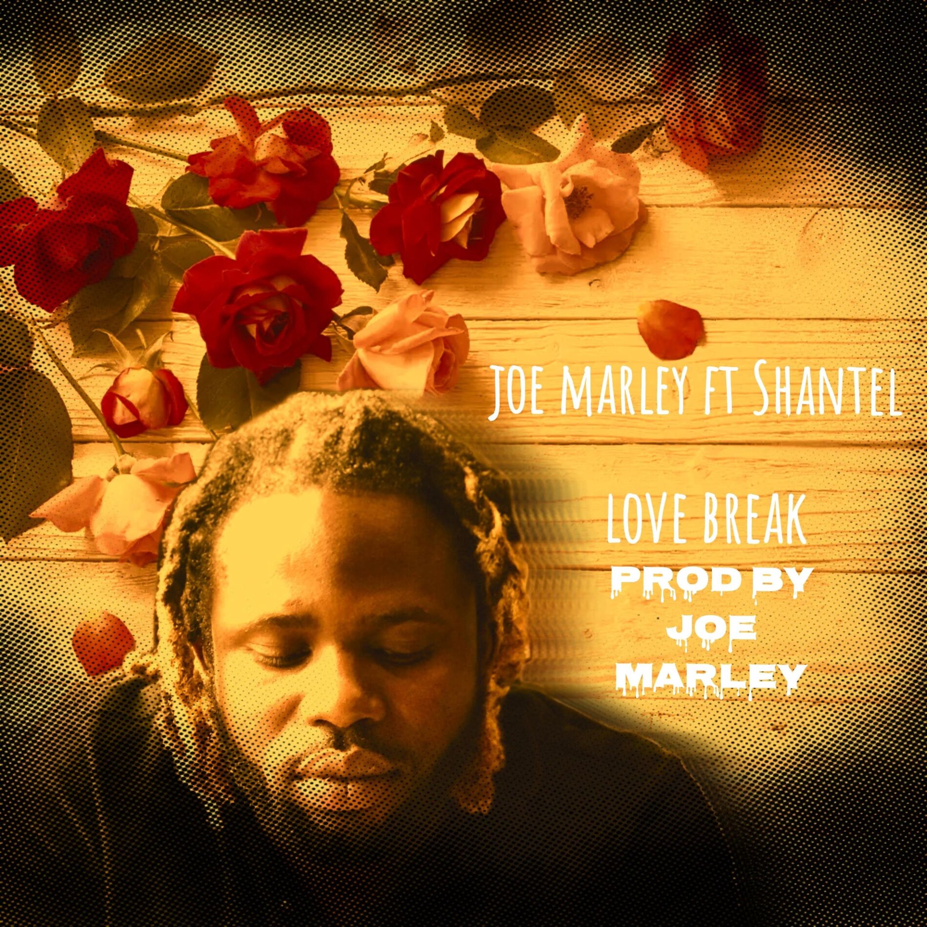 Album cover of Love break (feat. Shantel)