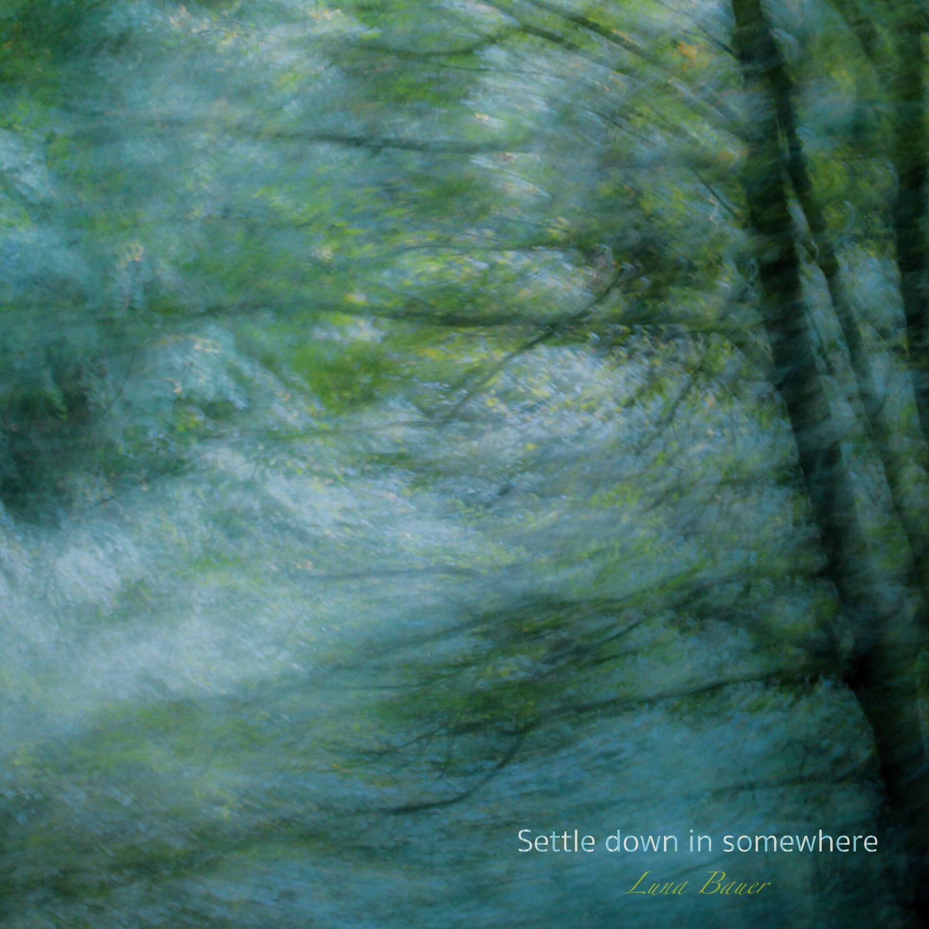 Album cover of Settle Down In Somewhere