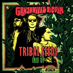 Cover of Irie up (Ganjaville Riddim)