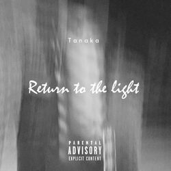Cover of Return to the Light