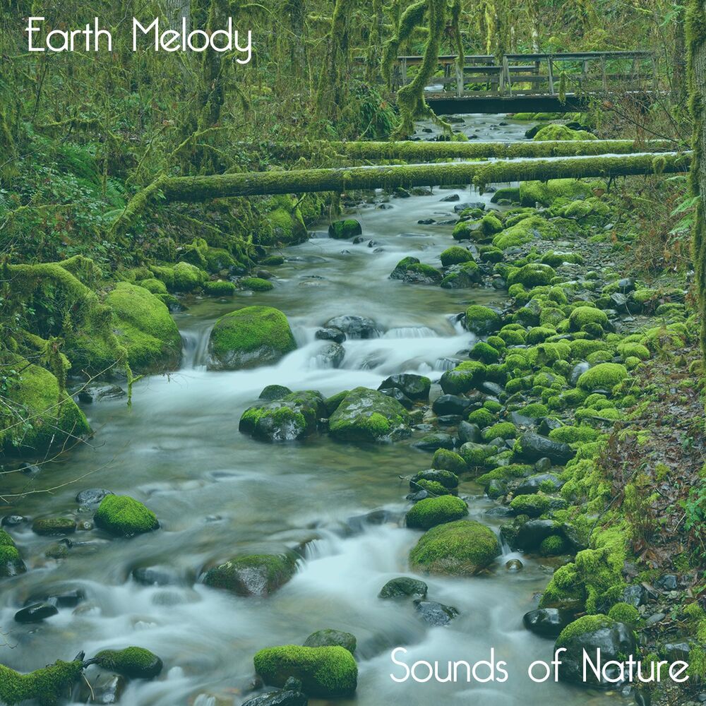 Picture of Sounds of Nature