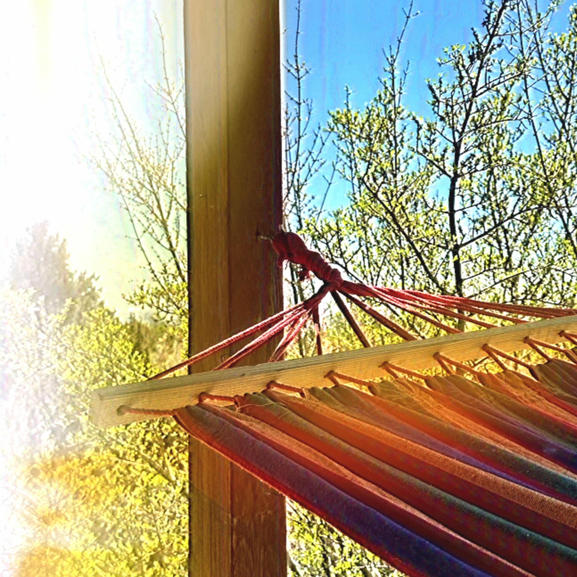 Album cover of Back Porch (feat. Alibi)