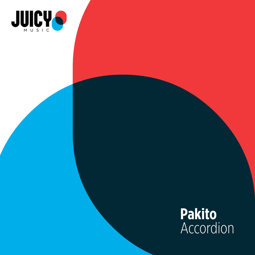 Picture of Accordion