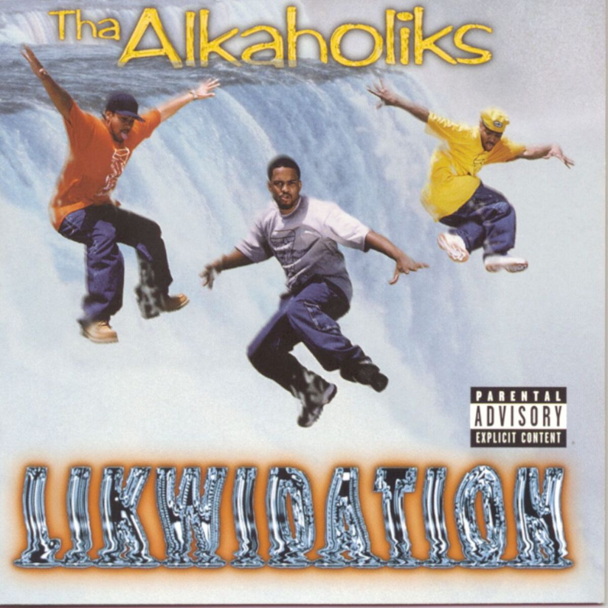 Album cover of Likwidation